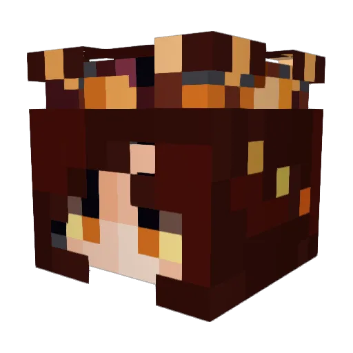 jumblybumble Minecraft avatar head, 3D render
