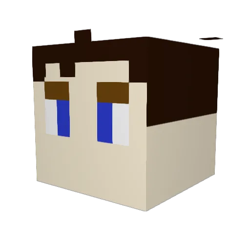 jumping_frog135 Minecraft avatar head, 3D render
