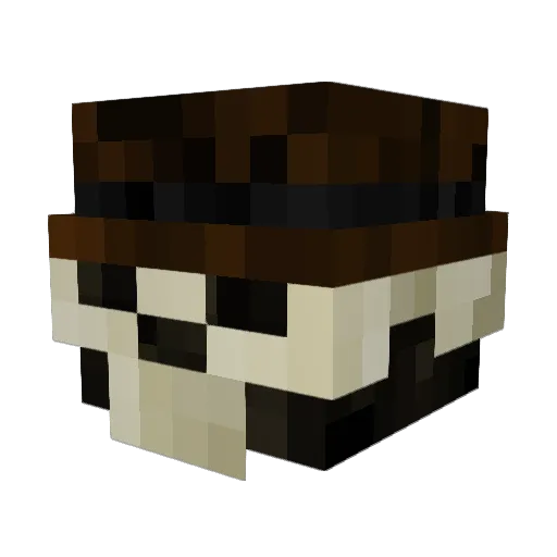 jumpingbadger Minecraft avatar head, 3D render