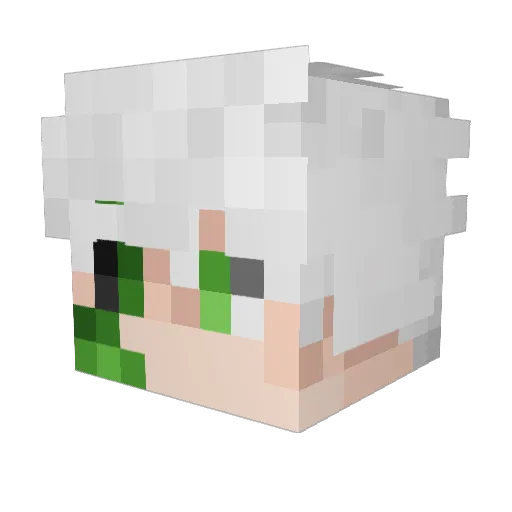 jumpingkidwd Minecraft avatar head, 3D render