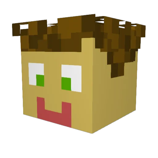jumpngoboom Minecraft avatar head, 3D render
