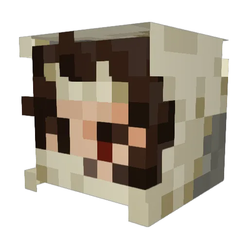 jumpyboke Minecraft avatar head, 3D render