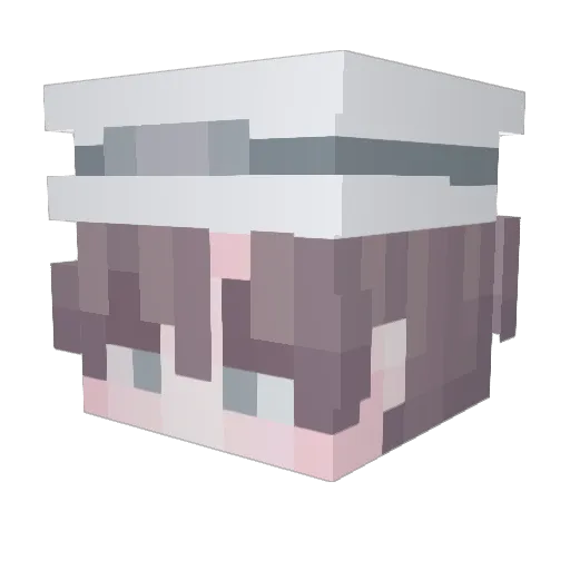 jun0108 Minecraft avatar head, 3D render