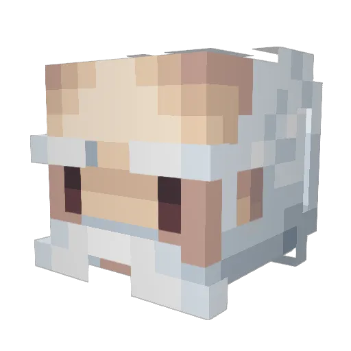 jun2305 Minecraft avatar head, 3D render