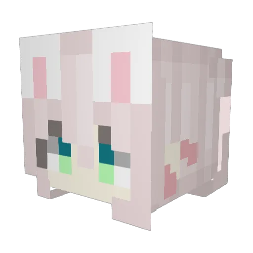 juna0215 Minecraft avatar head, 3D render