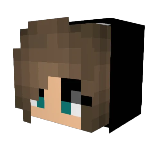 junaa4 Minecraft avatar head, 3D render