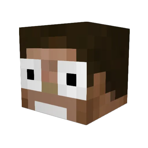 june0217 Minecraft avatar head, 3D render