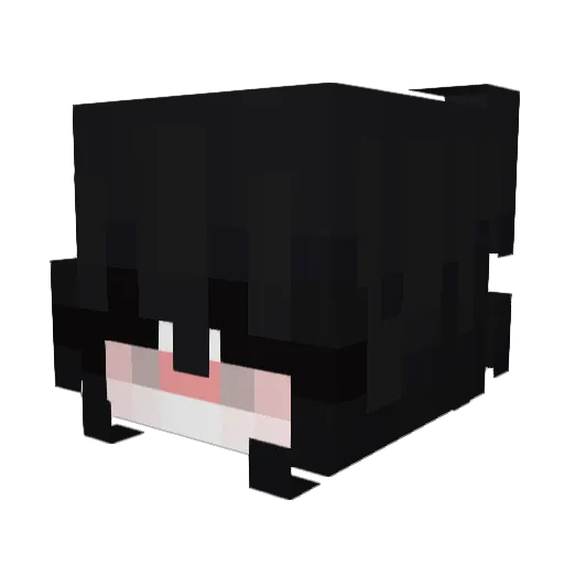 june189452 Minecraft avatar head, 3D render