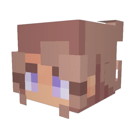 june42 Minecraft avatar head, 3D render
