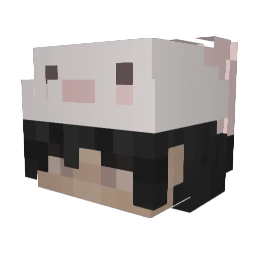 junebugbunny Minecraft avatar head, 3D render
