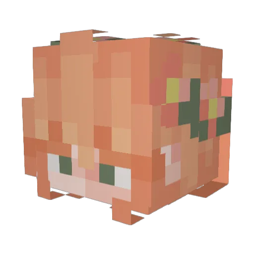 junemoon1 Minecraft avatar head, 3D render