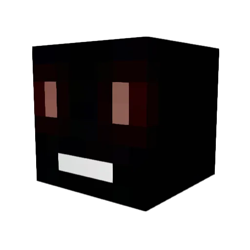 jung_salmon Minecraft avatar head, 3D render