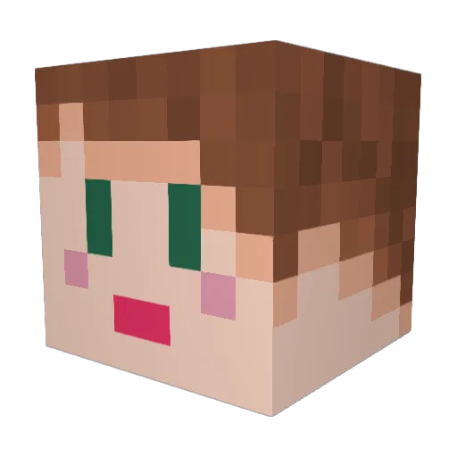 jungalooo Minecraft avatar head, 3D render