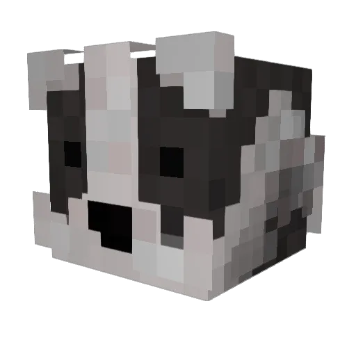 jungbomb Minecraft avatar head, 3D render