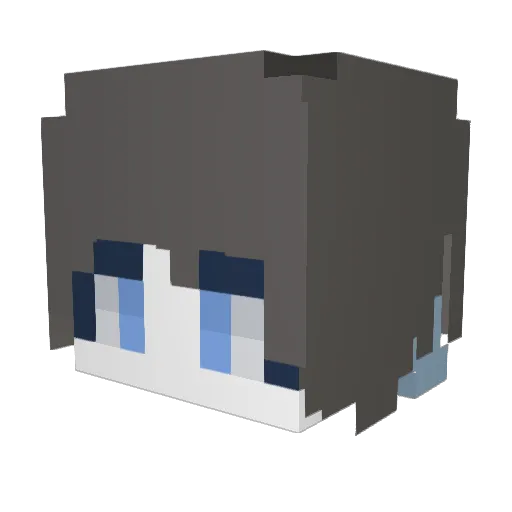 junge03 Minecraft avatar head, 3D render