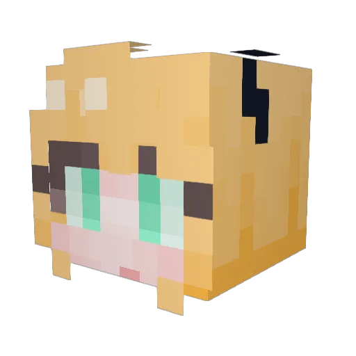junghaeun Minecraft avatar head, 3D render