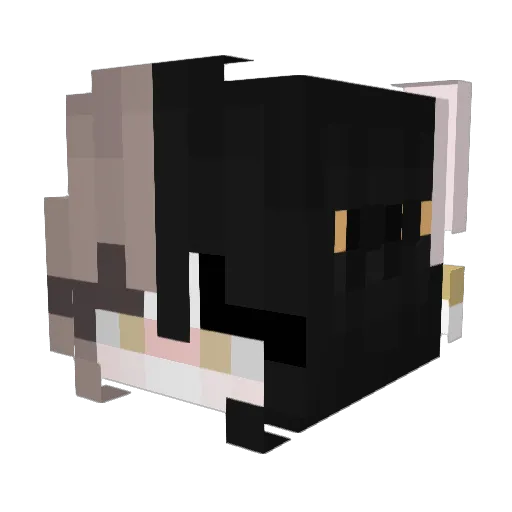 junghanseol Minecraft avatar head, 3D render