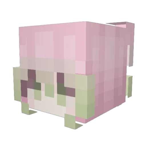 jungwonsbff Minecraft avatar head, 3D render