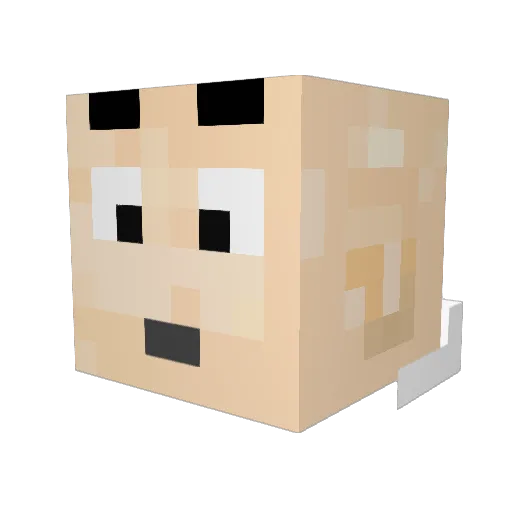 jungwoo1018 Minecraft avatar head, 3D render