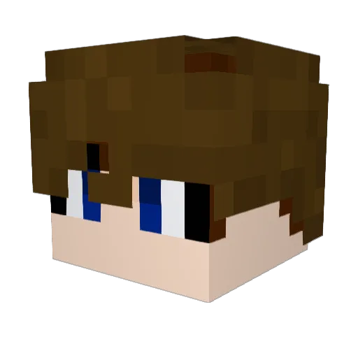 jungws25 Minecraft avatar head, 3D render