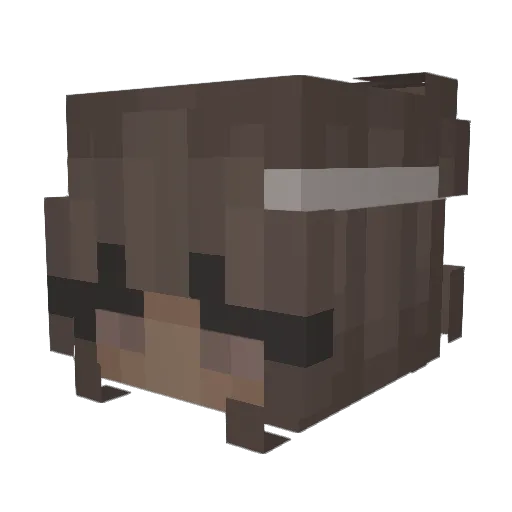 jungyoh Minecraft avatar head, 3D render