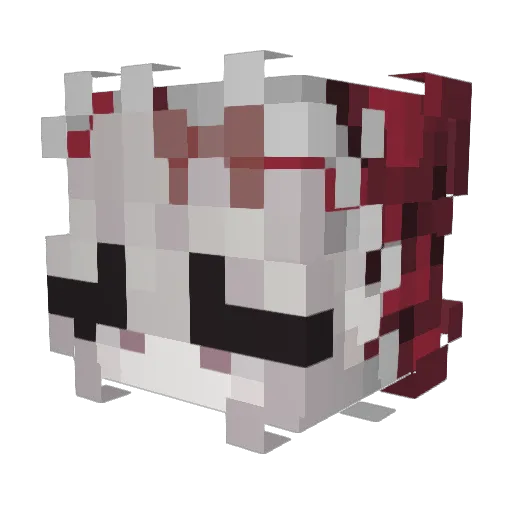 jungyw11 Minecraft avatar head, 3D render