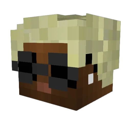 junior57 Minecraft avatar head, 3D render