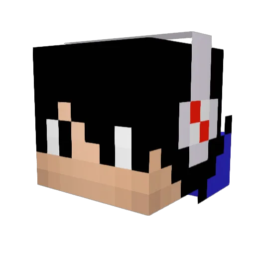 junior_PvP Minecraft avatar head, 3D render