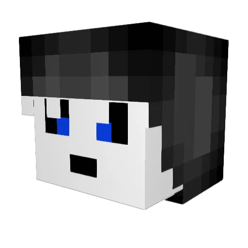 junior_basse Minecraft avatar head, 3D render