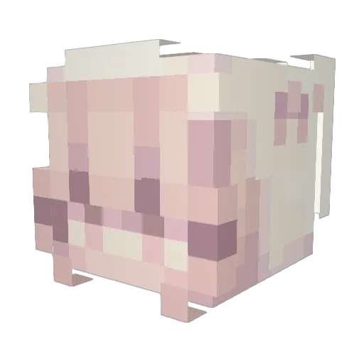 junipercrashed Minecraft avatar head, 3D render