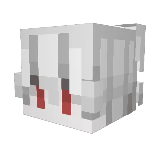 junjunjunjunj Minecraft avatar head, 3D render