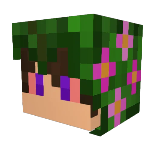 junkmaster39 Minecraft avatar head, 3D render