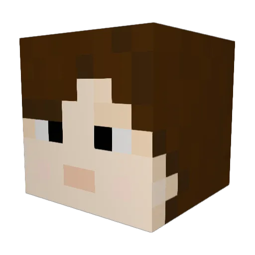 junkong_e Minecraft avatar head, 3D render