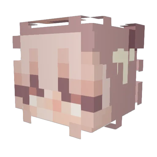 junsfav Minecraft avatar head, 3D render