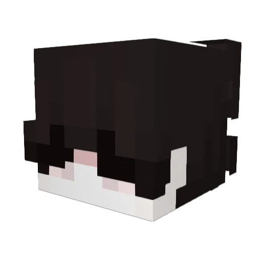 junsung0517 Minecraft avatar head, 3D render