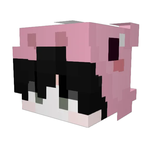 junwoo0202 Minecraft avatar head, 3D render