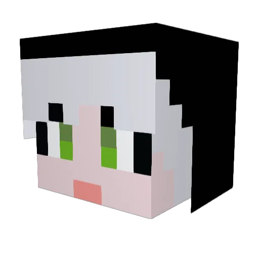 junwoo0322 Minecraft avatar head, 3D render