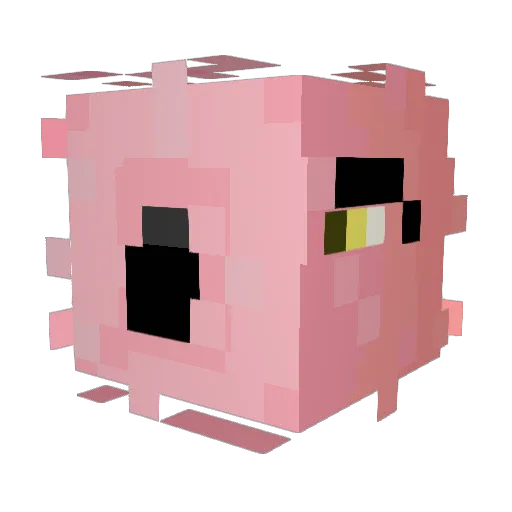 juoink Minecraft avatar head, 3D render