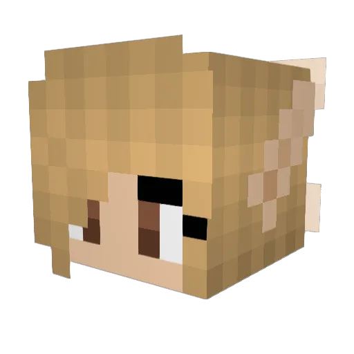 jupitall Minecraft avatar head, 3D render