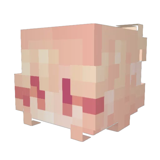 jupiterfrog Minecraft avatar head, 3D render