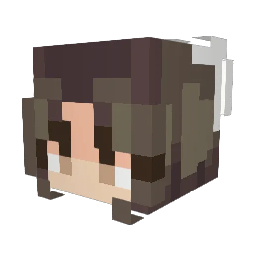jupxter74 Minecraft avatar head, 3D render