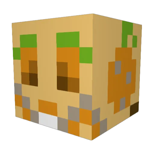 jus_d_0range Minecraft avatar head, 3D render