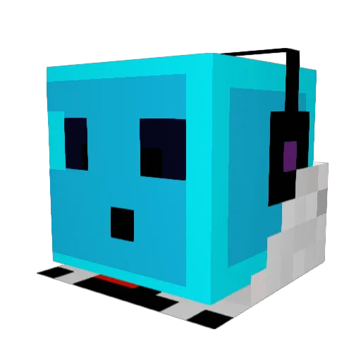 jusgottahavit Minecraft avatar head, 3D render