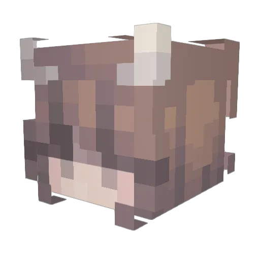 just1mochi Minecraft avatar head, 3D render