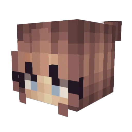 just_4y14 Minecraft avatar head, 3D render