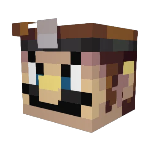 just_catnip Minecraft avatar head, 3D render