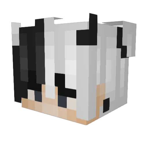 just_j4mie Minecraft avatar head, 3D render