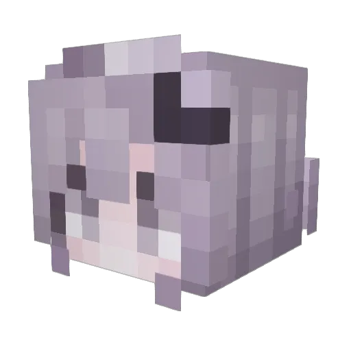 just_pigeon Minecraft avatar head, 3D render