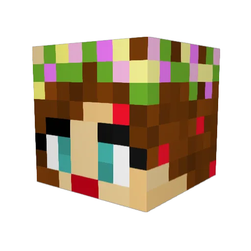 just_toaster Minecraft avatar head, 3D render