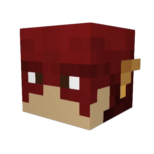 justadood25 Minecraft avatar head, 3D render